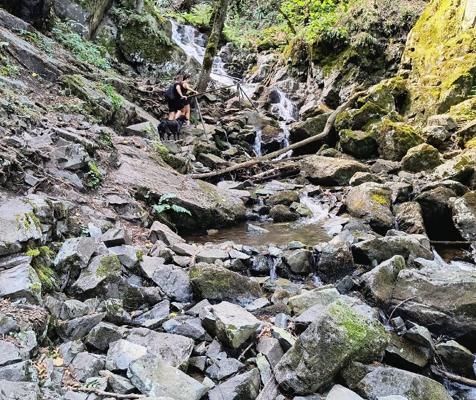 Boyana Waterfall-索非亚必去景点