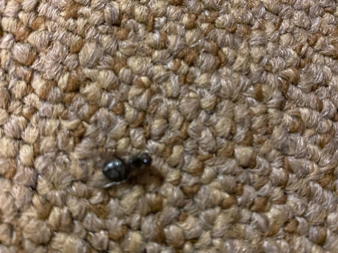 The Lucerne Inn主图