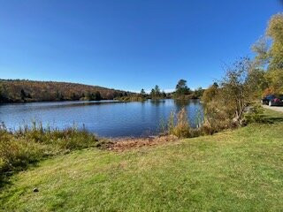 Coffin Pond Conservation Area