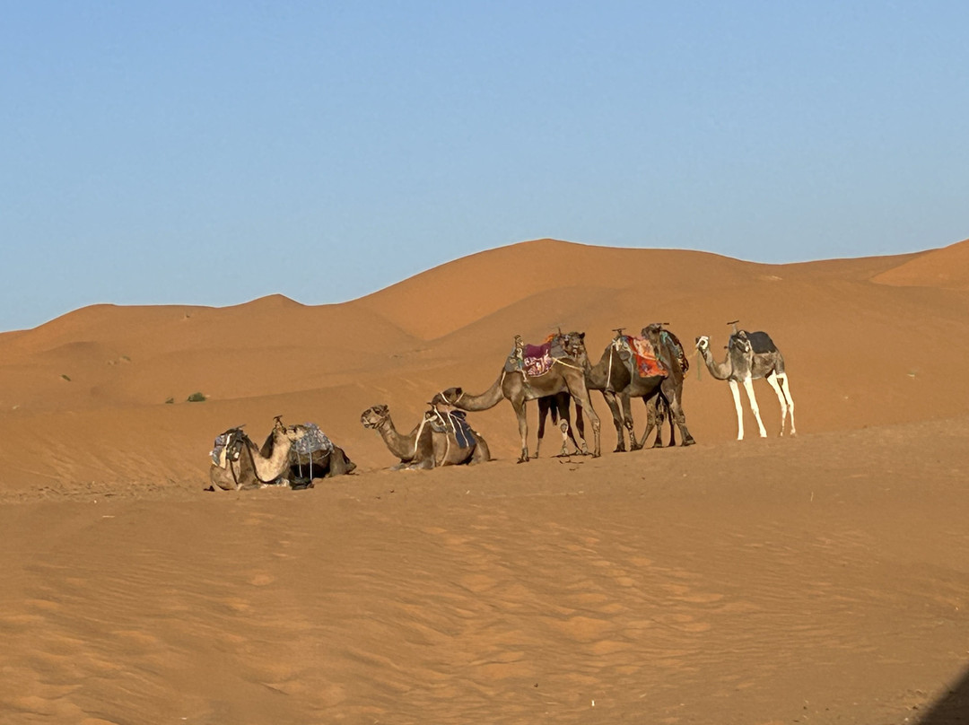 Morocco DailyXplore Tours-卡萨布兰卡必去景点