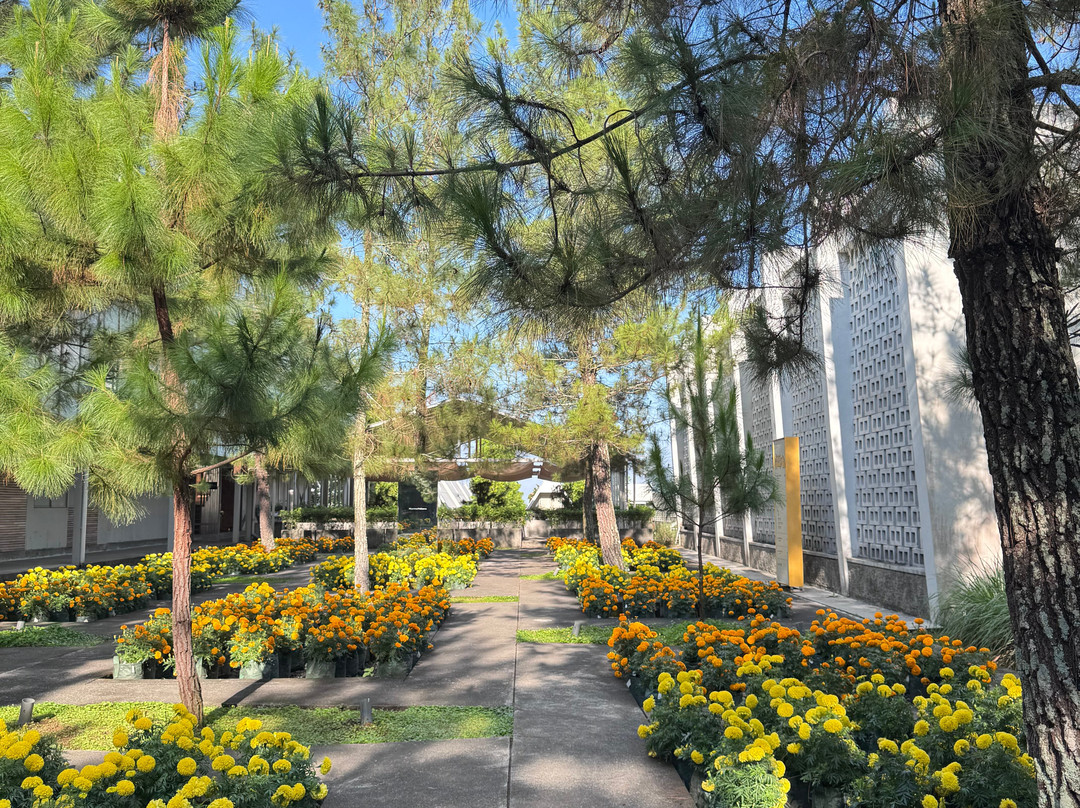 Rumah Atsiri Indonesia-Tawangmangu必去景点