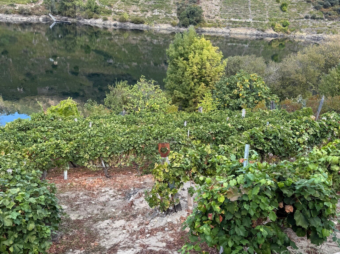 Bodega Ronsel Do Sil-Parada de Sil必去景点