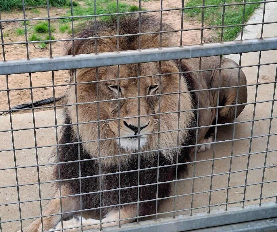 Wolds Wildlife Park-Horncastle必去景点