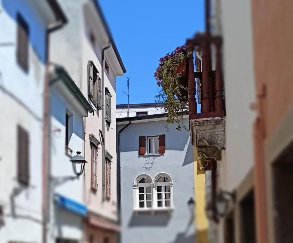 Alla Bifora