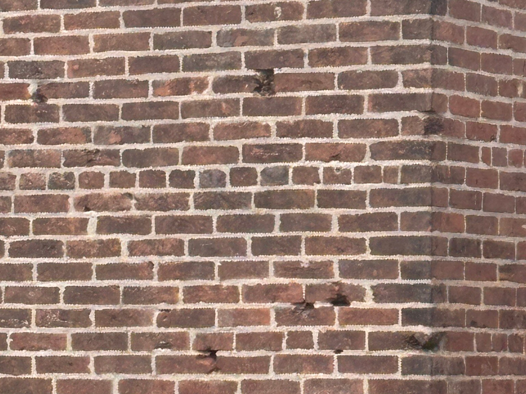 Carter House-富兰克林必去景点