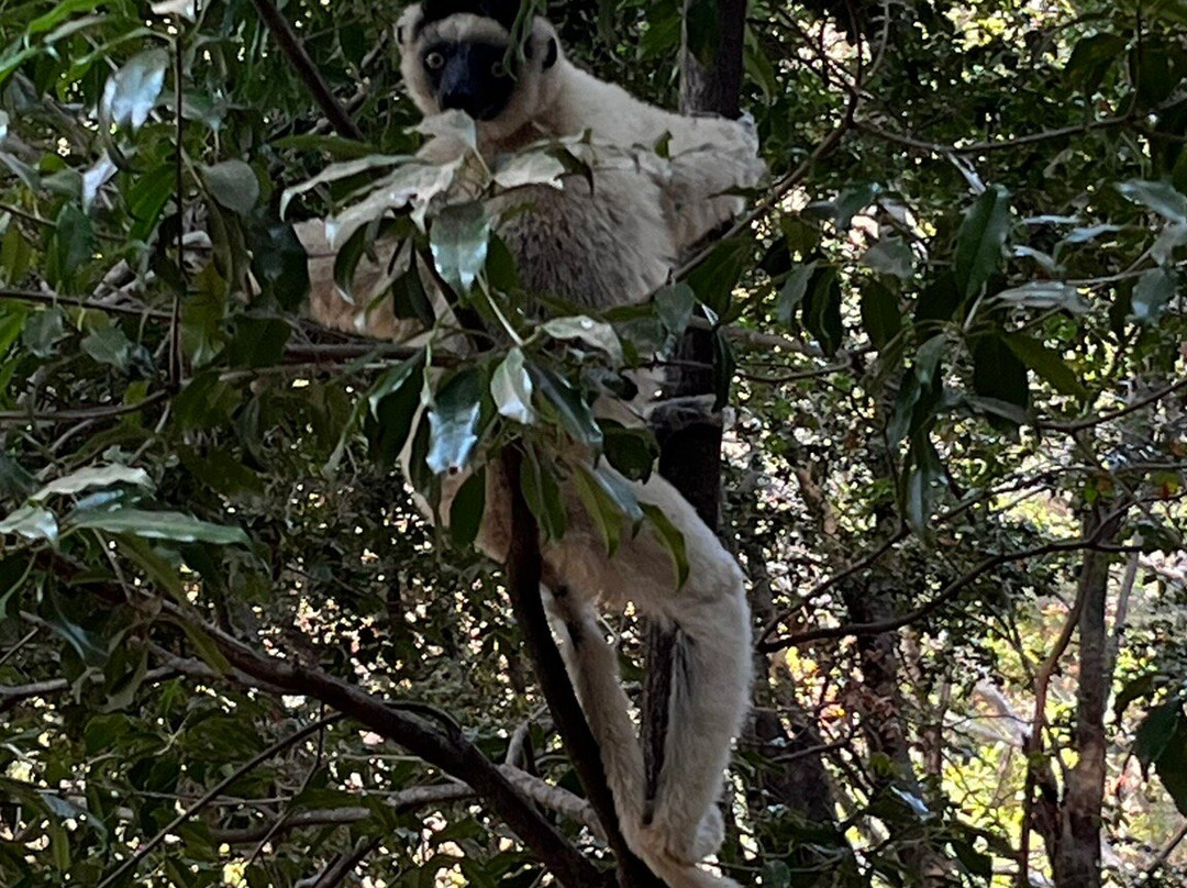 Madagascar Circuits Tours-安塔那那利佛必去景点