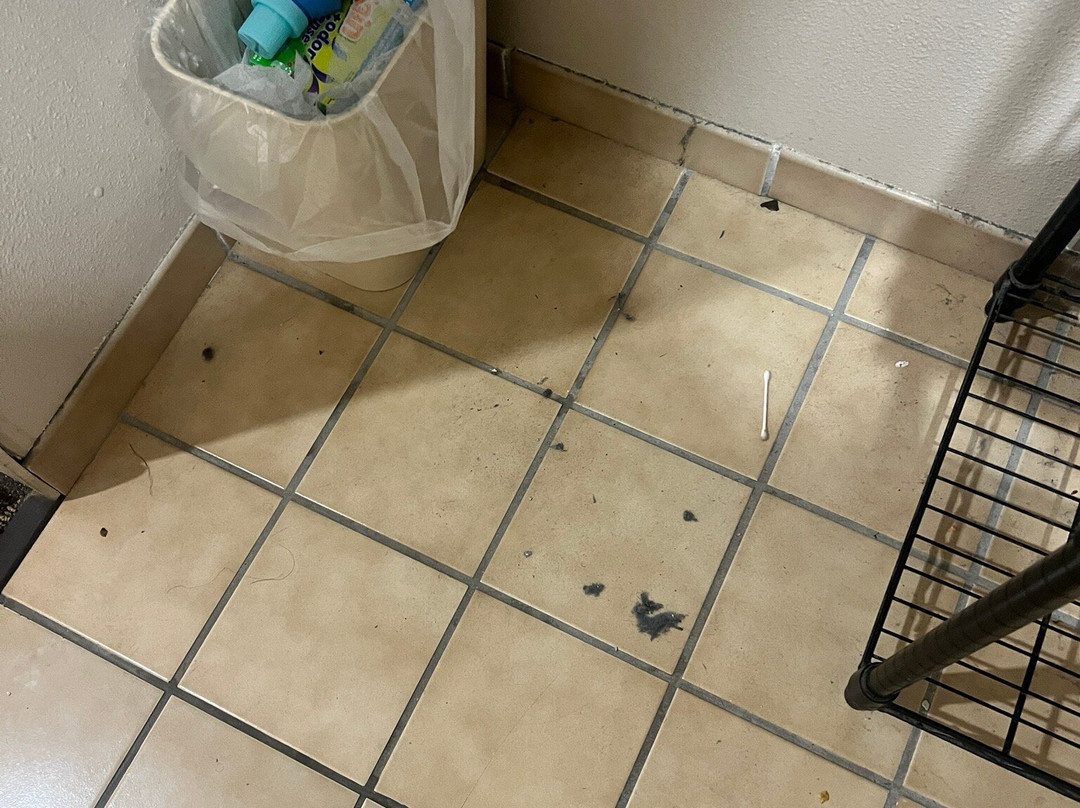 富尔顿快捷假日酒店主图