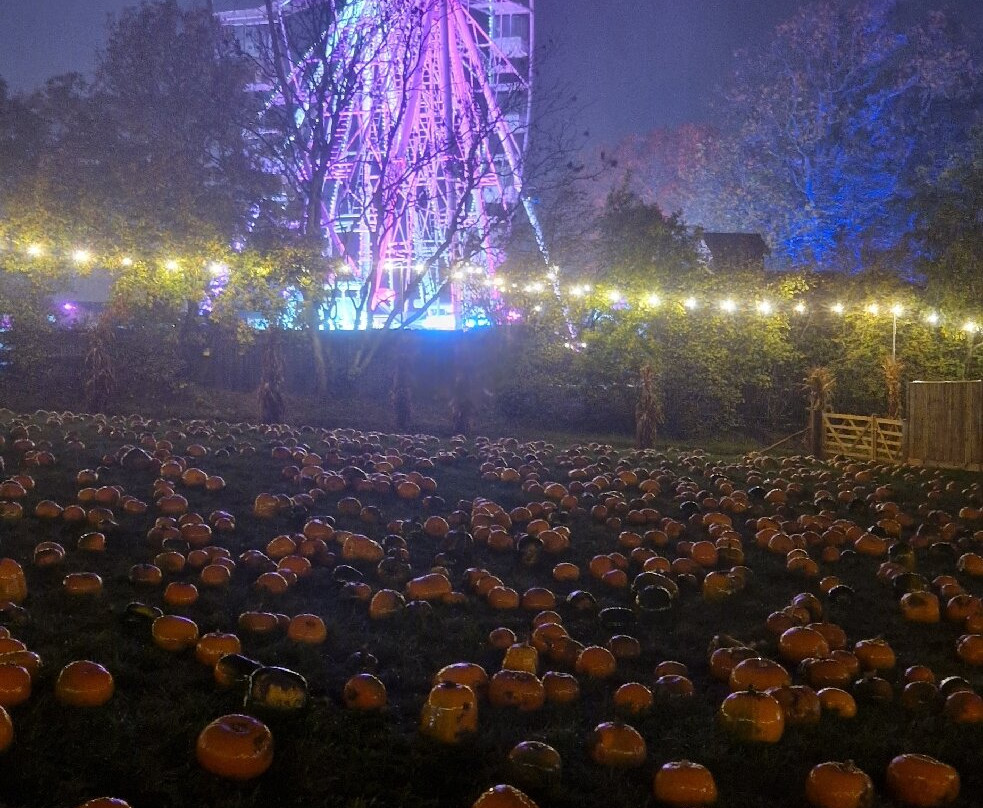 Tulleys Farm-Turners Hill必去景点