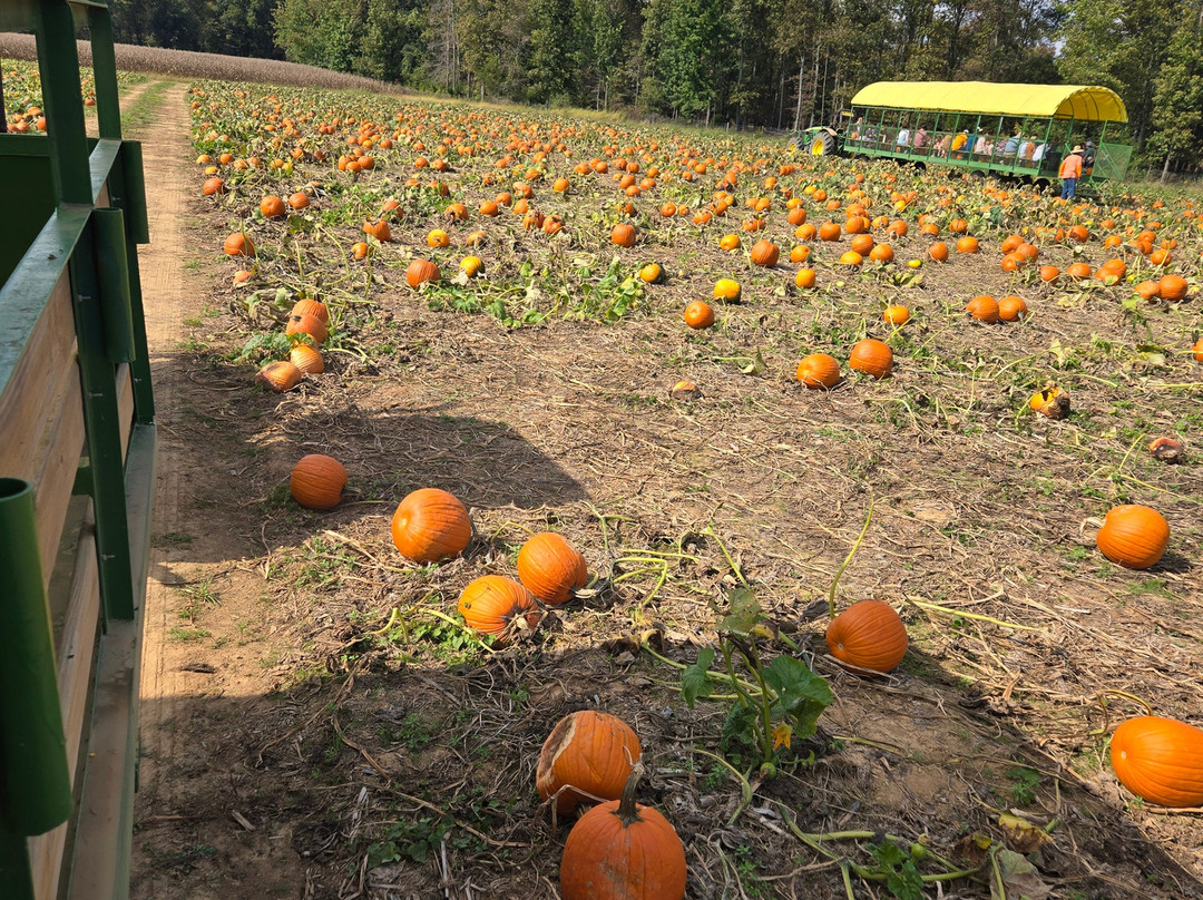 Lyon Family Farms-Taft必去景点