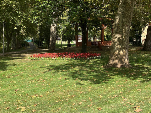 Radó-sziget-焦尔必去景点