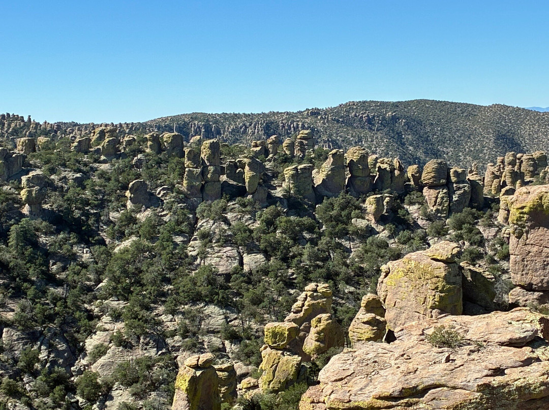 Chiricahua National Monument-Willcox必去景点