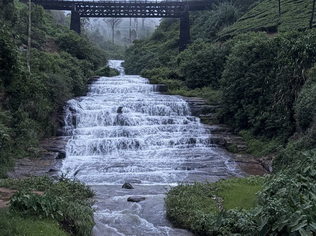 lasan lasan-Nanu Oya必去景点
