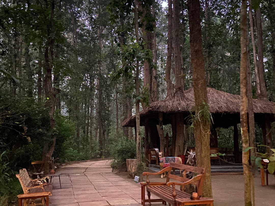 Kanha Jungle Lodge主图