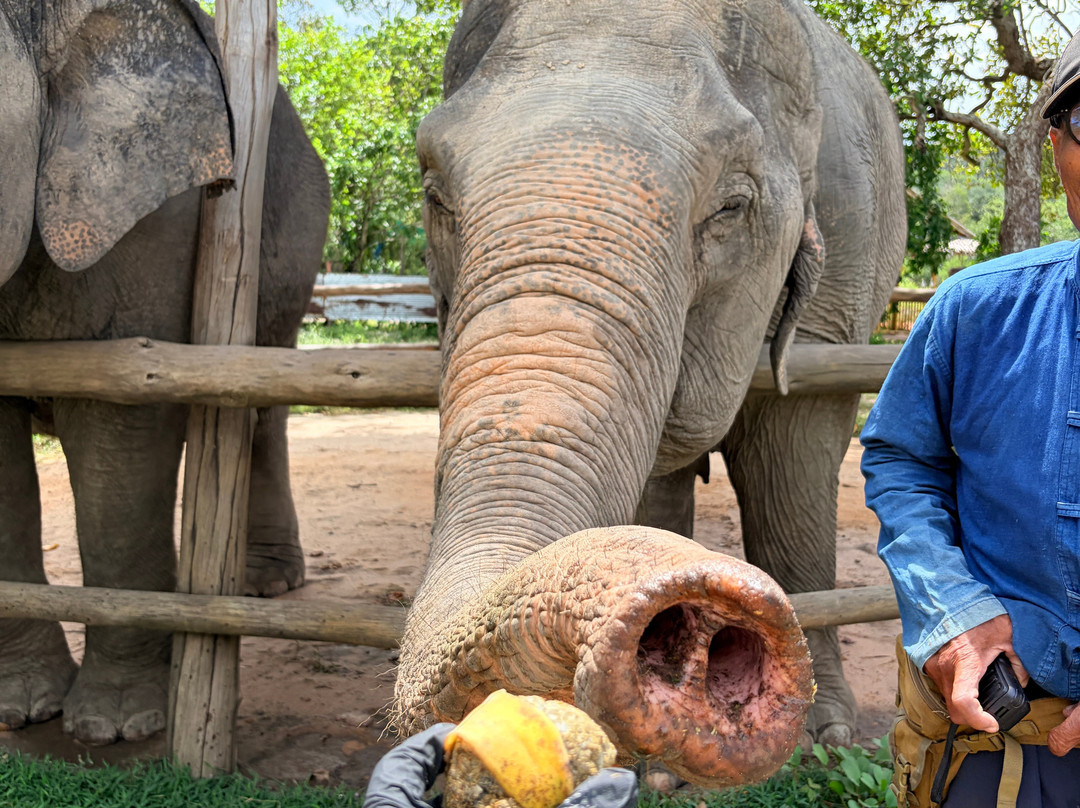 Koh Yao Elephant Beach-阁耀亚伊岛必去景点