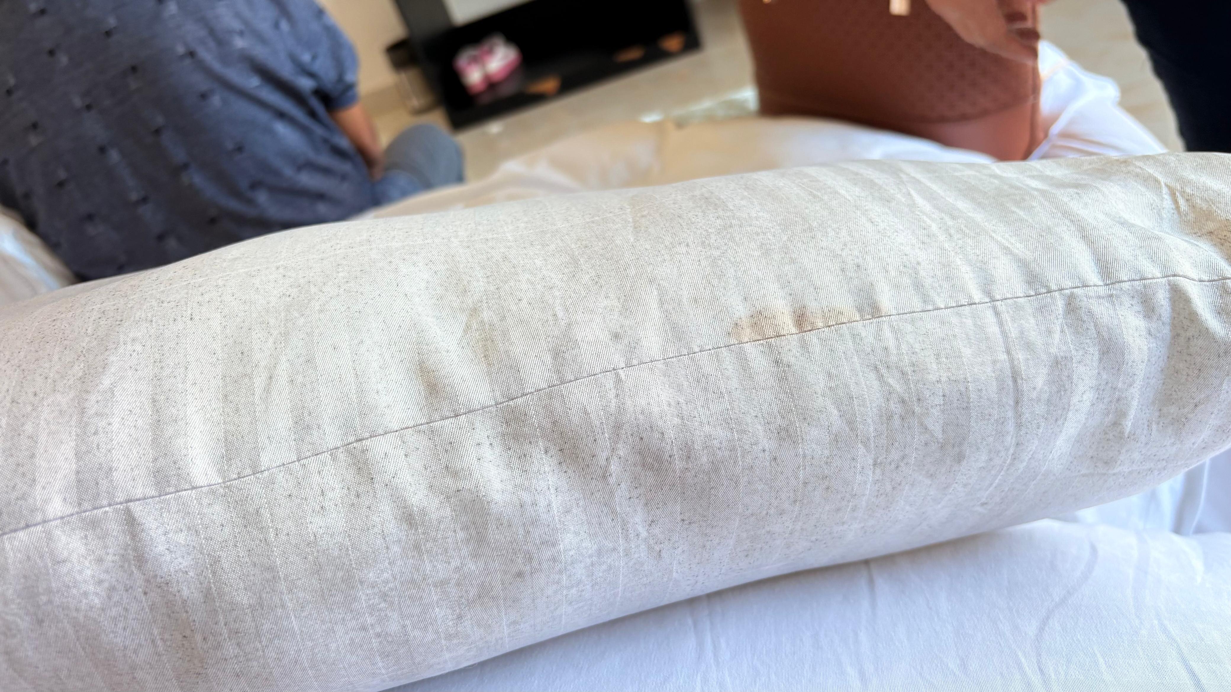 Perfectstayz Koko Maya-官方