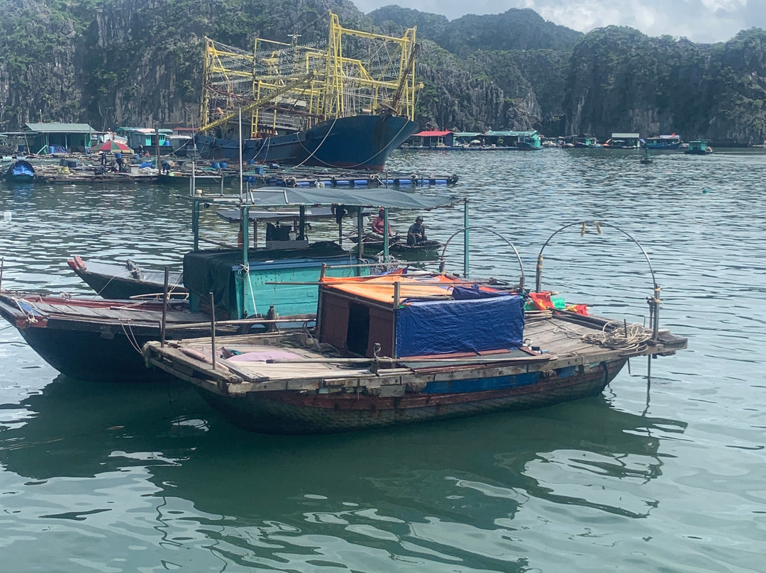 Blue Swimmer Travel-卡巴必去景点