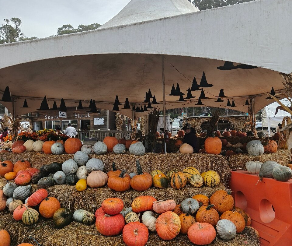 Arata Pumkin Farm-半月湾必去景点