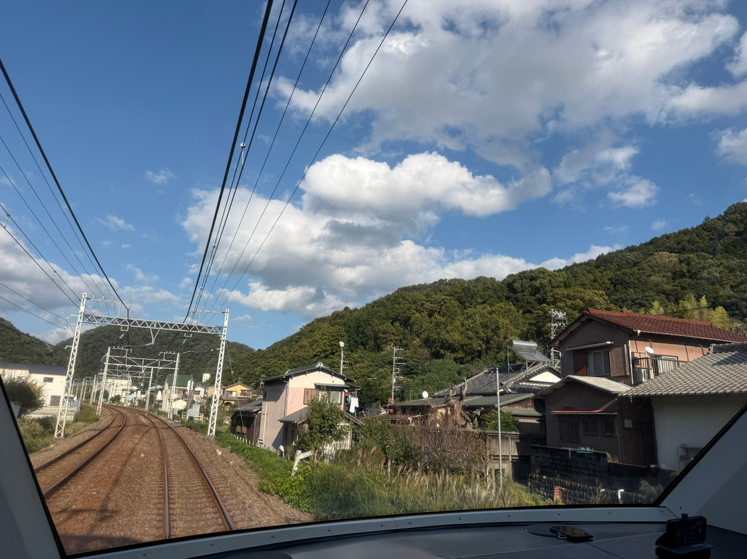 Odakyu Limited Express Romancecar-东京都必去景点