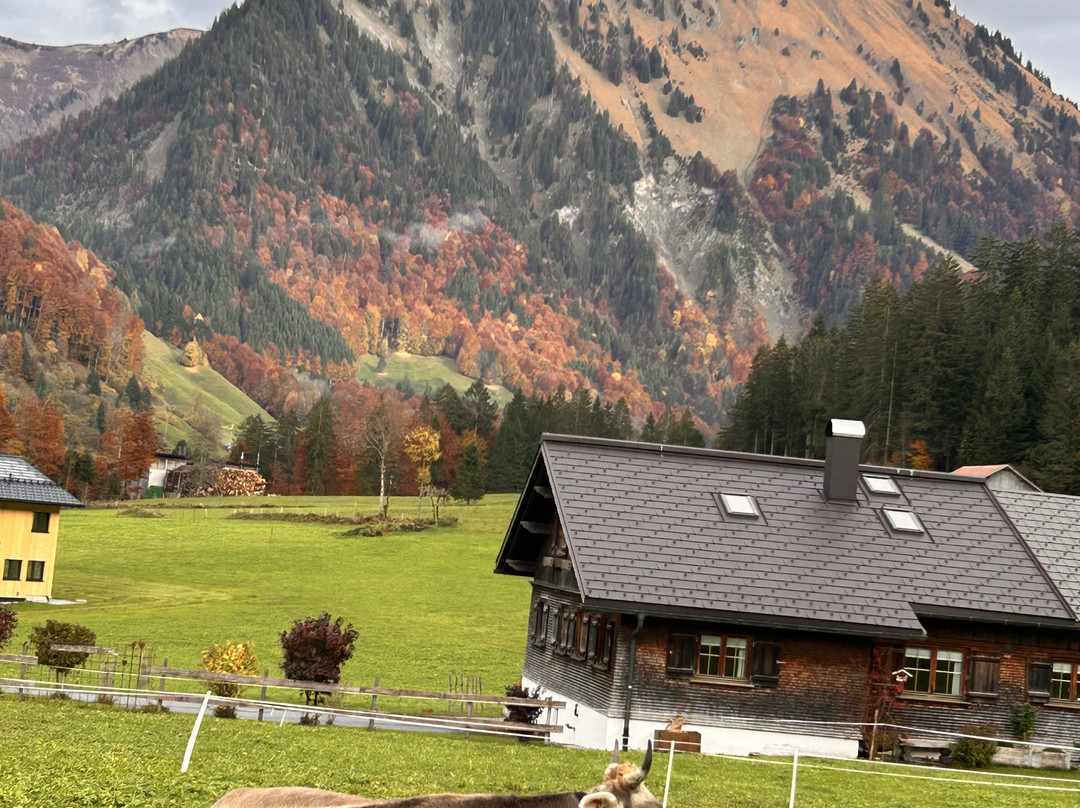 Oberhauser Maria & Markus主图