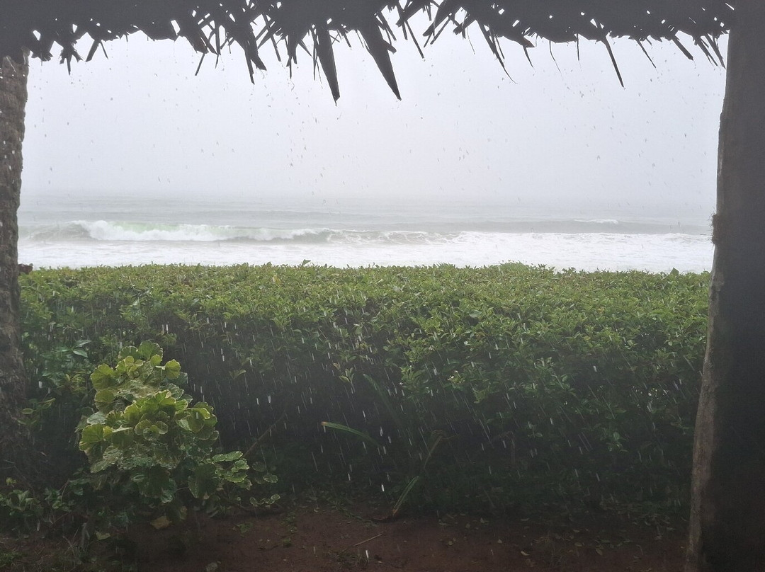 Sukriti Beach Resort主图