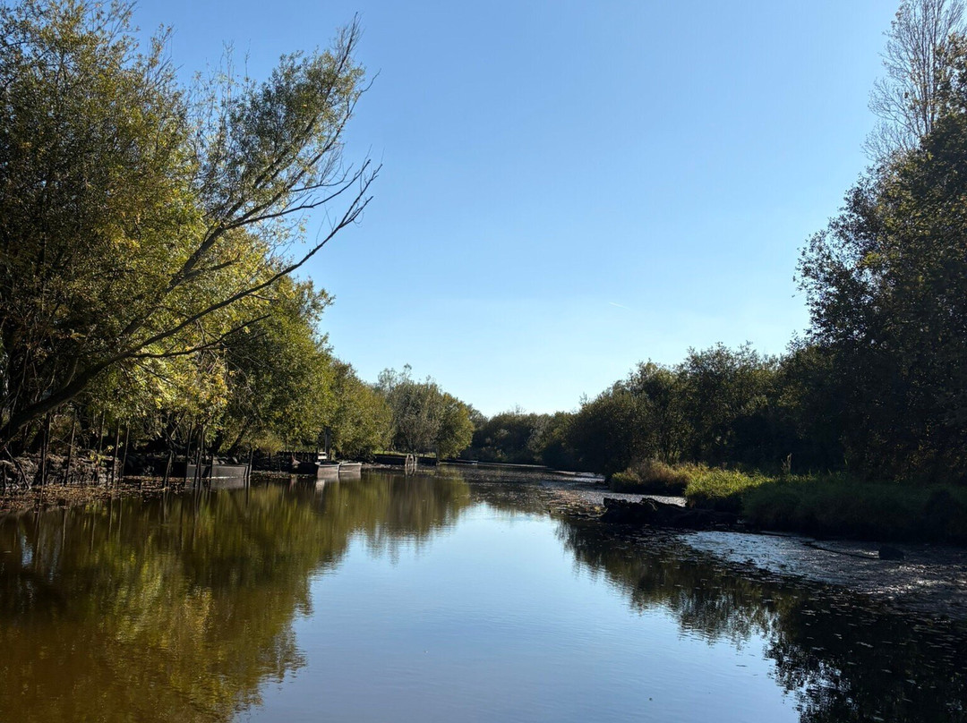 Promenades en Chaland - Valerie Aoustin-Huard-Saint-Joachim必去景点