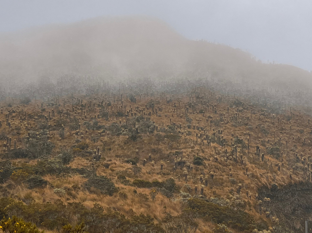 Laguna Negra Parque Reserva Natural-Manizales必去景点