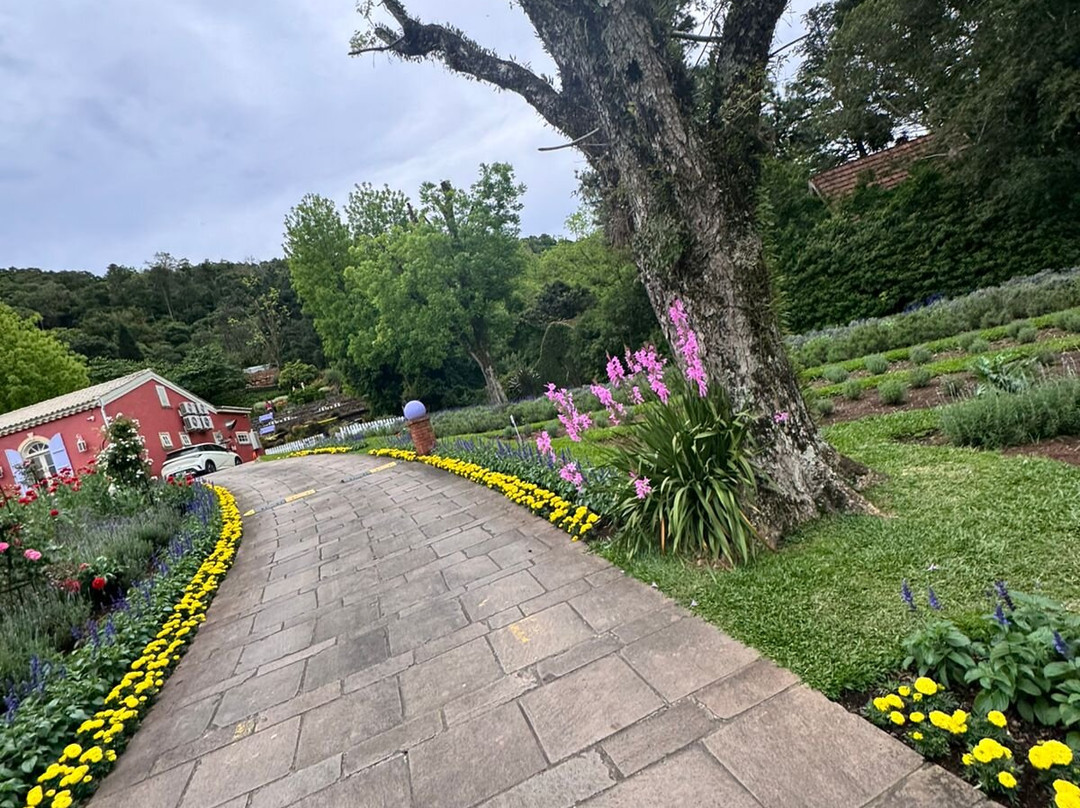 Le Jardin Parque de Lavanda-格拉玛多必去景点