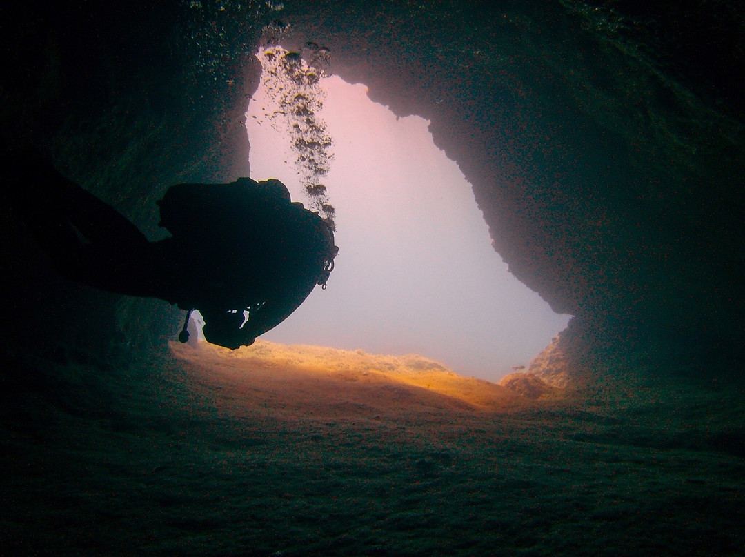 Paradise Diving Malta-史克华必去景点