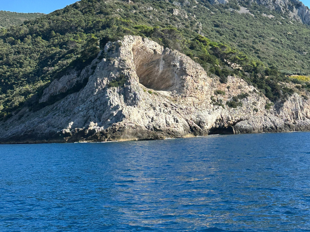 Tenuta Valle Buia主图