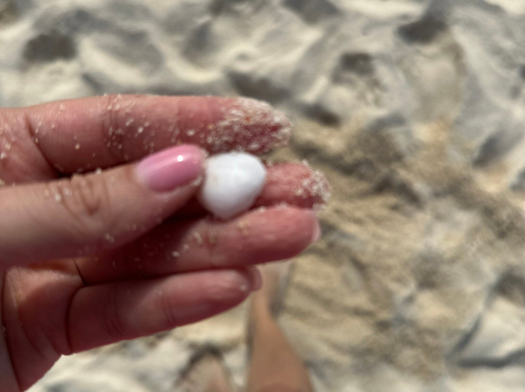 Sea Eagle Tour-甲米必去景点