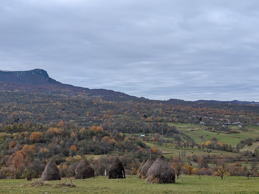 Axatravel-Suceava必去景点