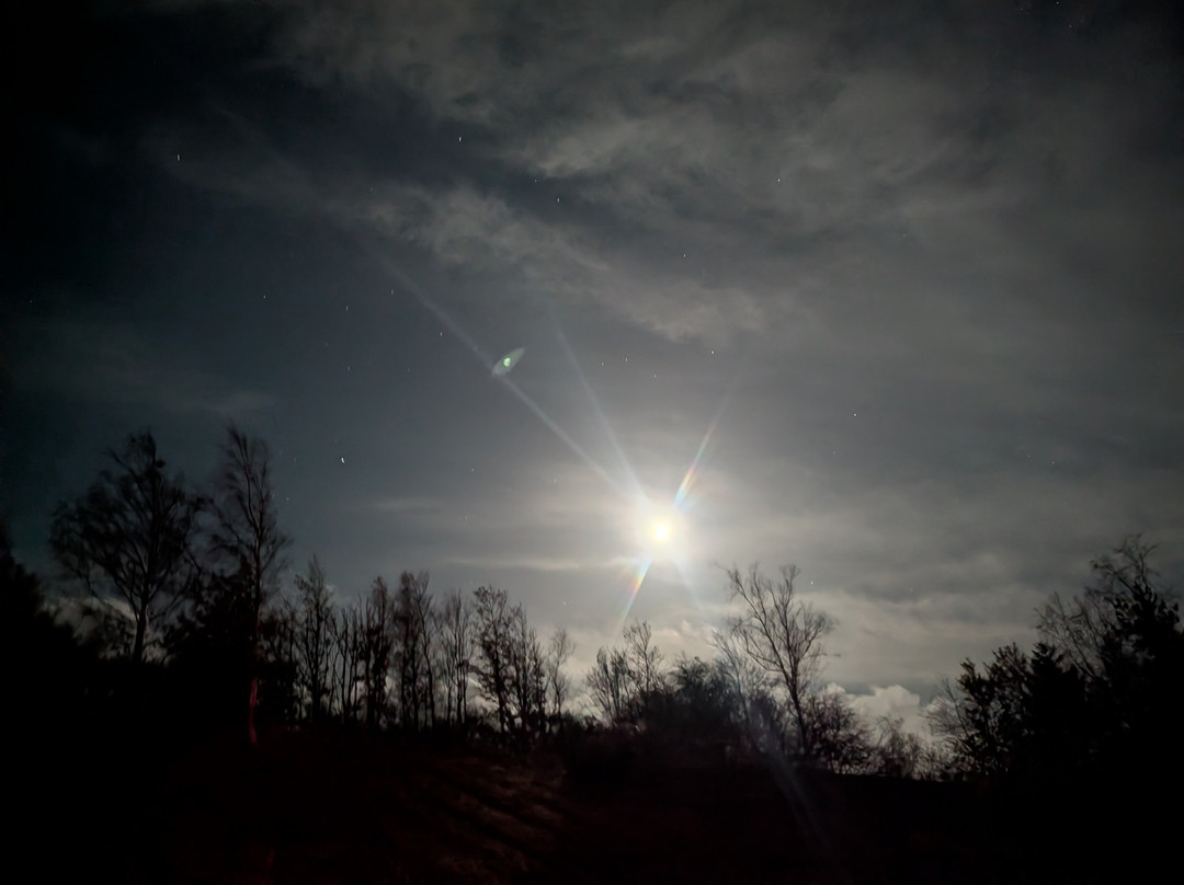 Grassholme Observatory-达勒姆必去景点