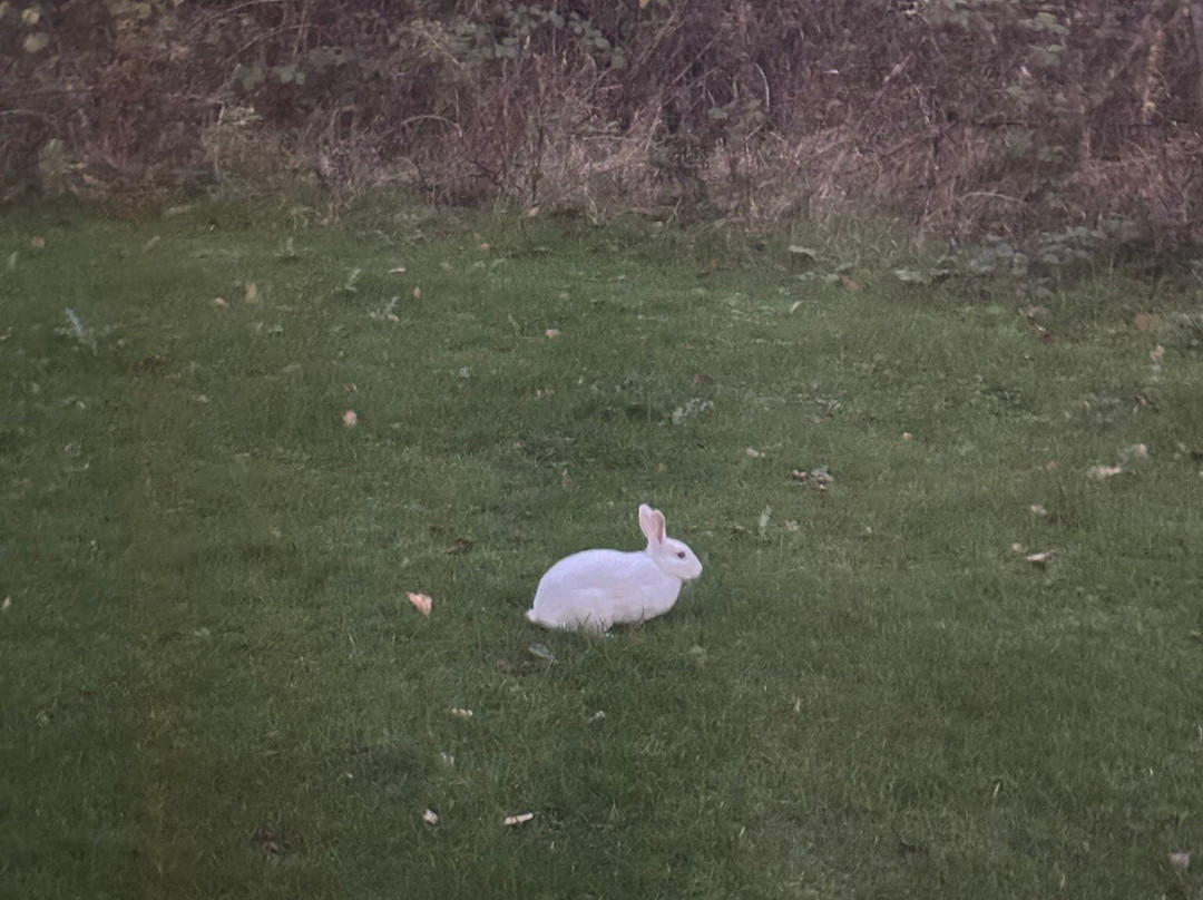 Ribby Hall Village-Wrea Green必去景点