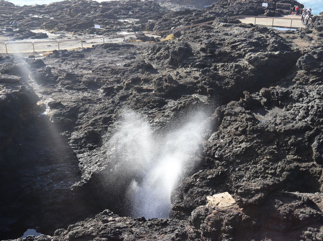 Kiama Lighthouse-凯马必去景点