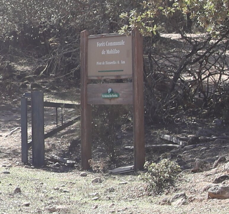 Forêt communale de Moltifao-Moltifao必去景点