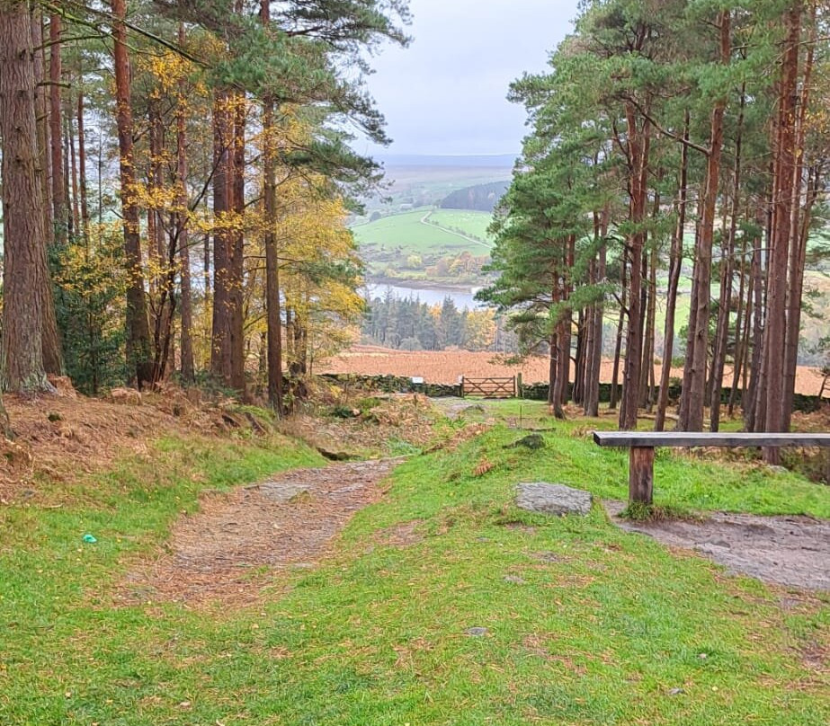 Druids Temple-里彭必去景点