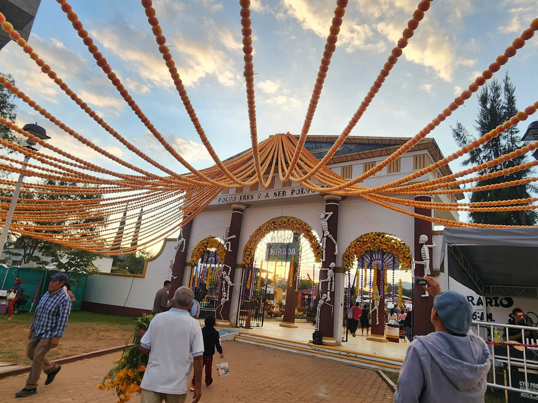 Luis Ramírez Tours Oaxaca-瓦哈卡必去景点