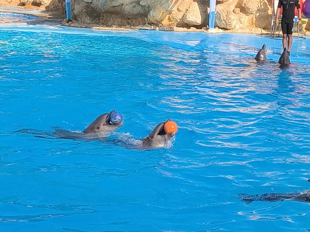 Brothers Safari Excursions-沙姆沙伊赫必去景点