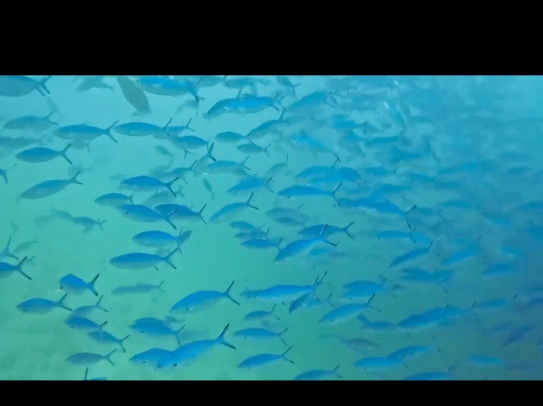 Macana Maldives-皮斯托亚必去景点