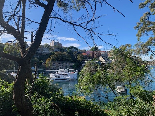 Cremorne Reserve-Cremorne Point必去景点