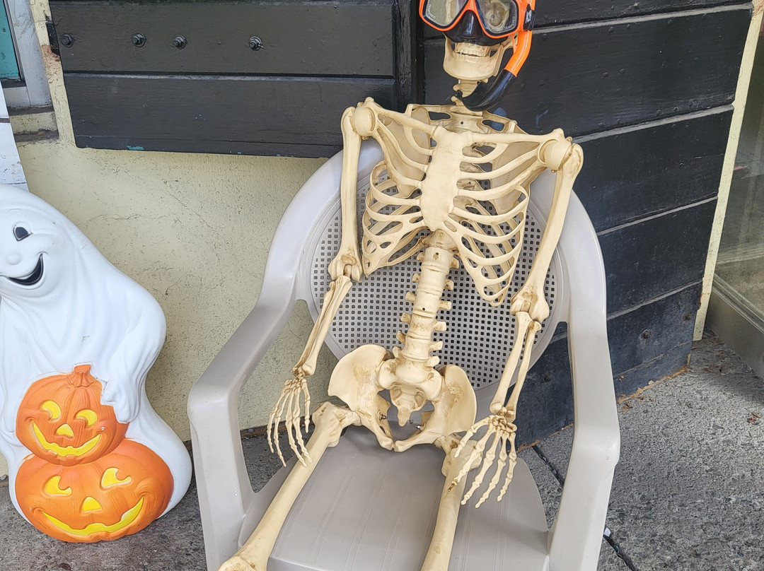 Frederiksted Pier-Frederiksted必去景点