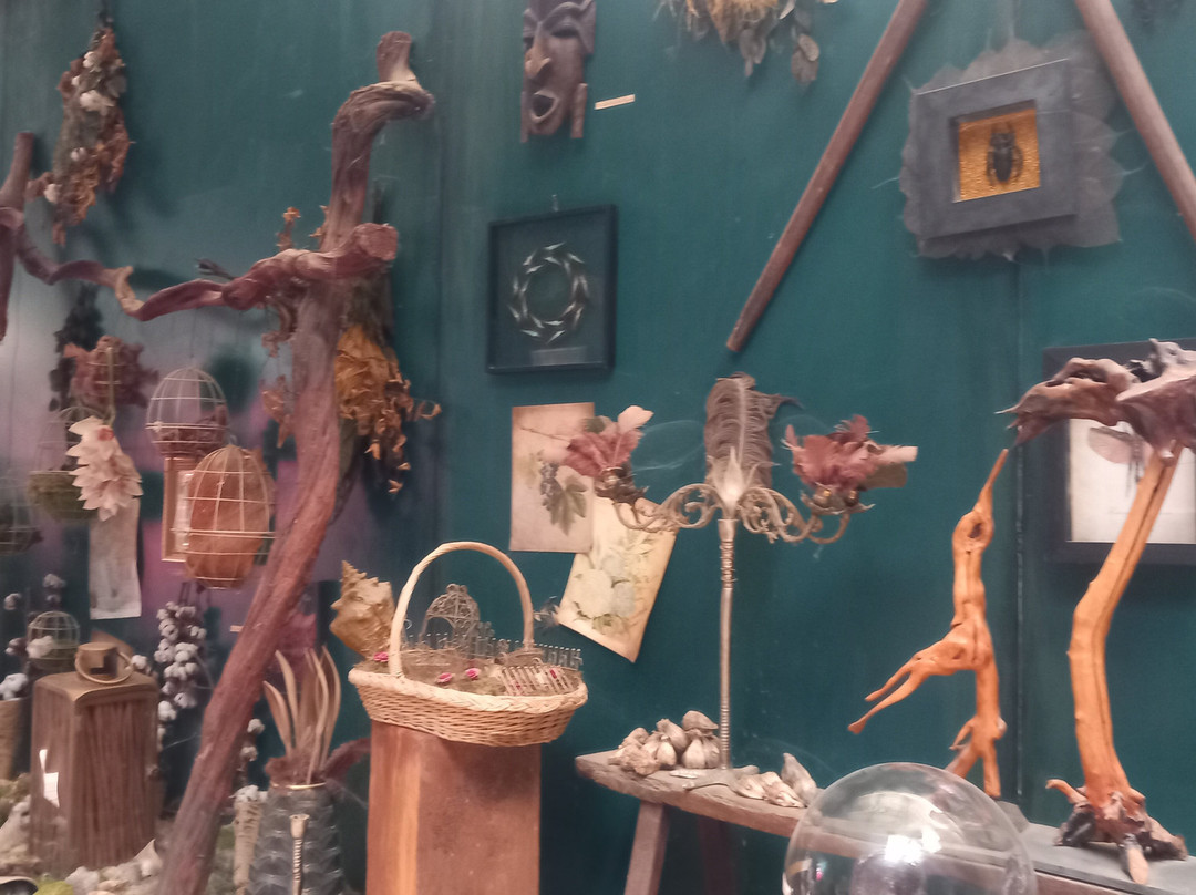 昂热植物园-昂热必去景点