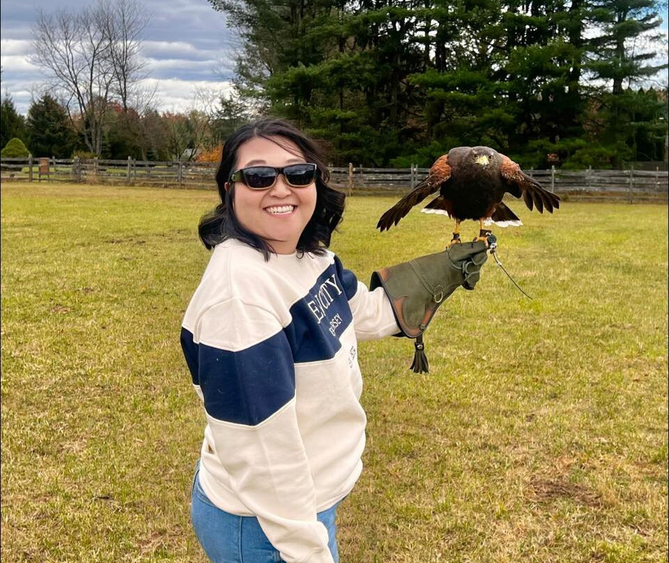 Masters Of The Skies-霍利必去景点