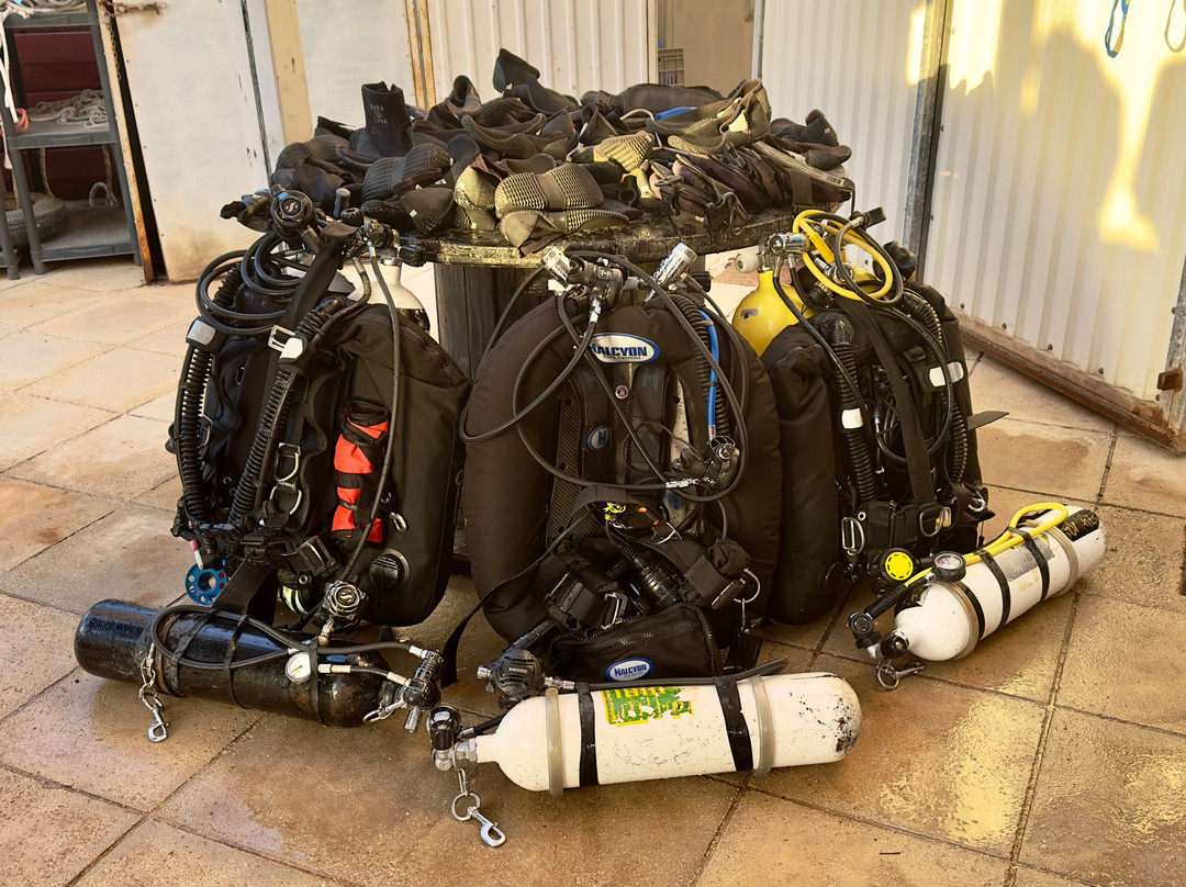 Coral Bay Divers-帕福斯必去景点