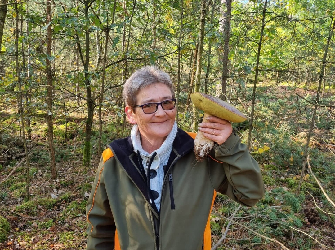 Theresienstein Park-Hof必去景点