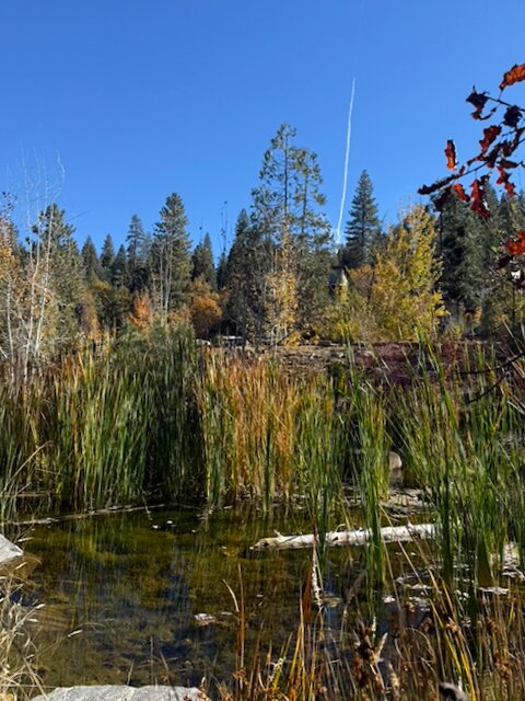 塞米蒂拉什溪山林小屋-浴室