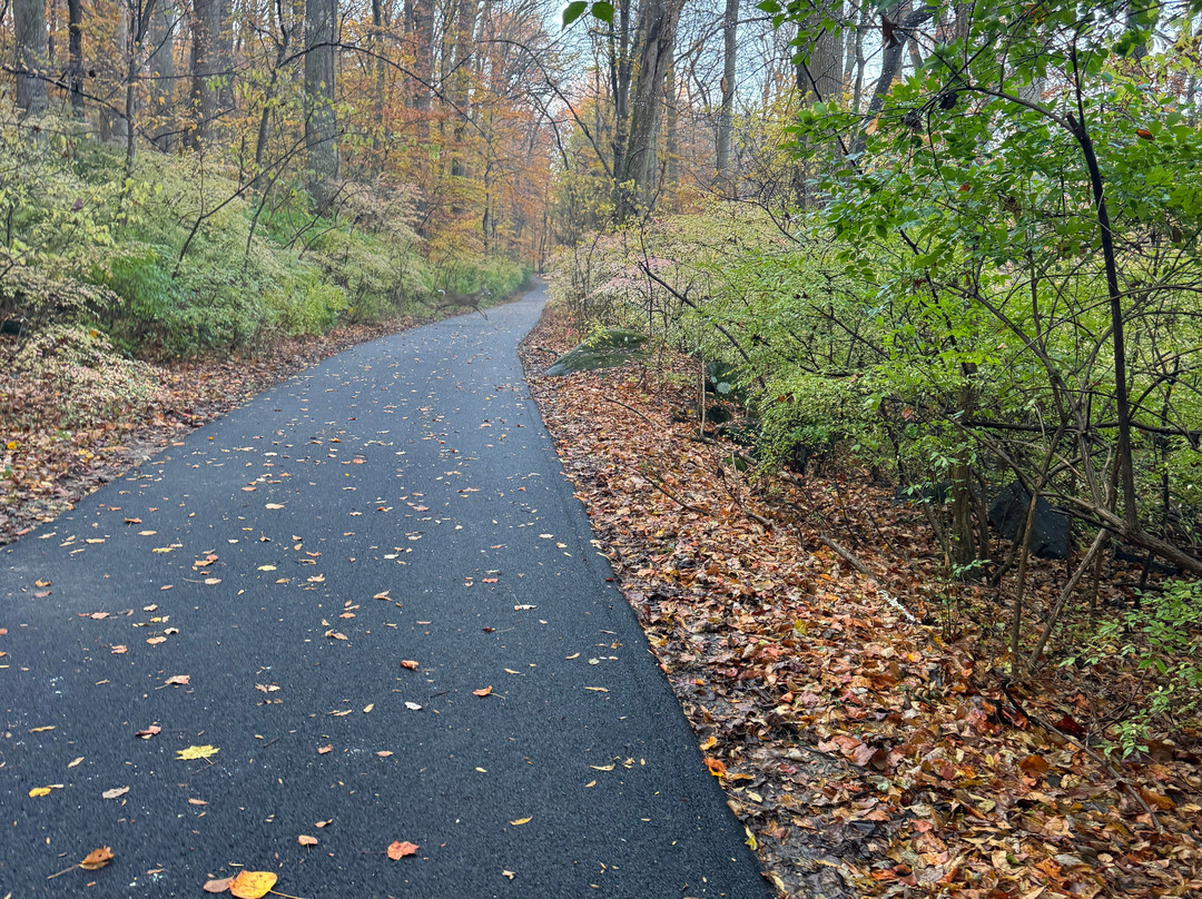 Brandywine Creek State Park-威尔明顿必去景点