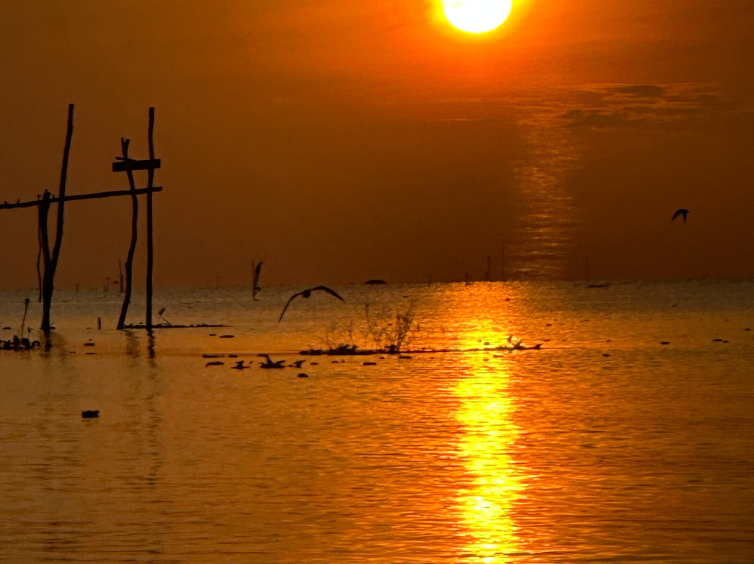 Thale Noi Waterbird Park-博他伦府必去景点