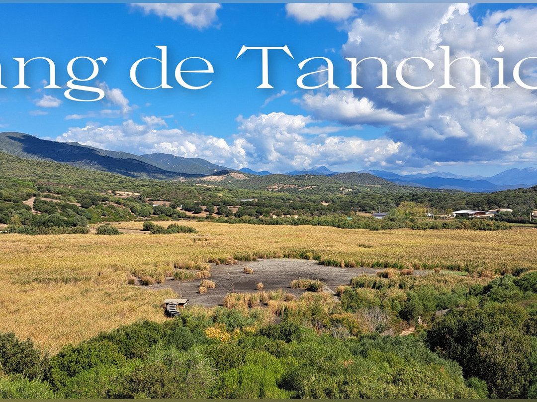 Etang de Tanchiccia-Serra-di-Ferro必去景点