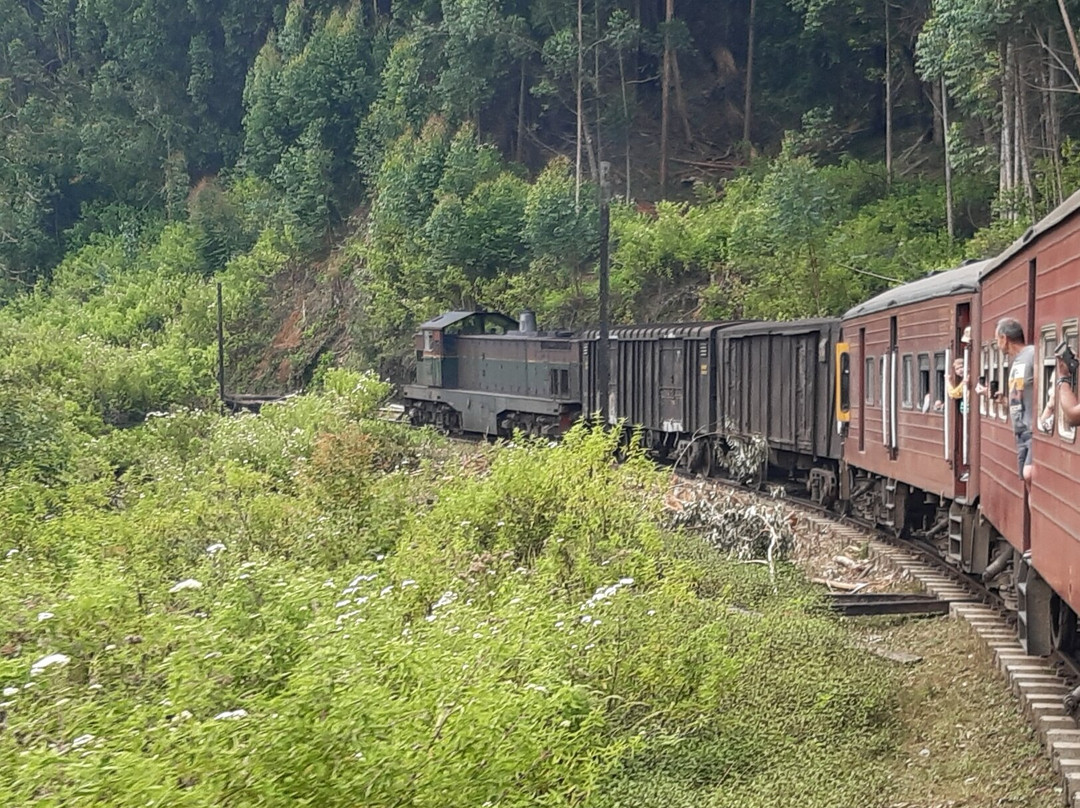 Pure Lanka Tours-Melsiripura必去景点